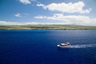 Kona Snorkeling & Sailing with Lunch in Kona, Hawaii