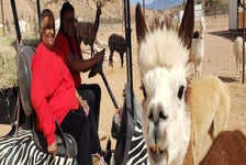 Las Vegas Guided UTV Safari and Zoo Tour - Bunkerville, NV