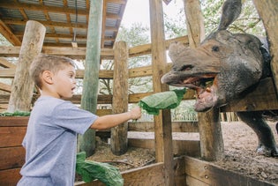 ZooTampa at Lowry Park in Tampa, Florida