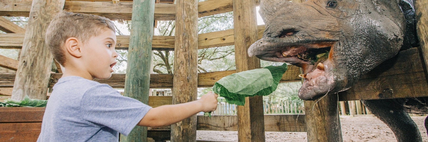 ZooTampa at Lowry Park in Tampa, Florida