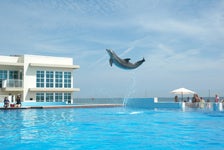 Marineland Dolphin Adventure in St. Augustine, Florida