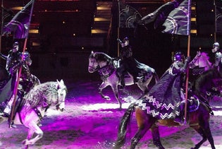 Medieval Times Dinner and Tournament Illinois in Schaumburg, Illinois