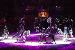 Medieval Times Dinner and Tournament Georgia in Lawrenceville, Georgia