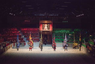Medieval Times Dinner and Tournament Dallas in Dallas, Texas