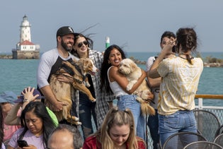 Mercury's Canine Cruise in Chicago, Illinois