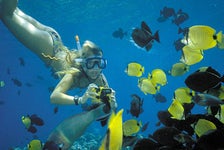 Molokini Snorkel & Sail from Maalaea Harbor in Maalaea, Hawaii