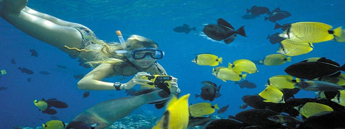 Molokini Snorkel & Sail from Maalaea Harbor in Maalaea, Hawaii