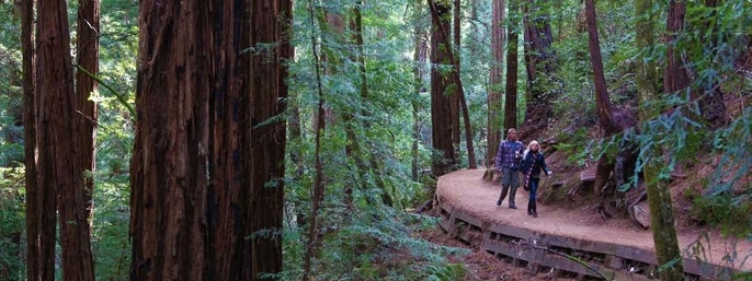 Muir Woods and Sonoma Wine Country Day Tour in San Francisco, California