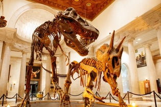 Natural History Museum of Los Angeles County in Los Angeles, California