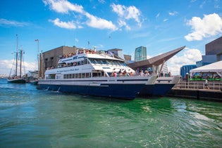 New England Aquarium Whale Watch Cruise in Boston, Massachusetts