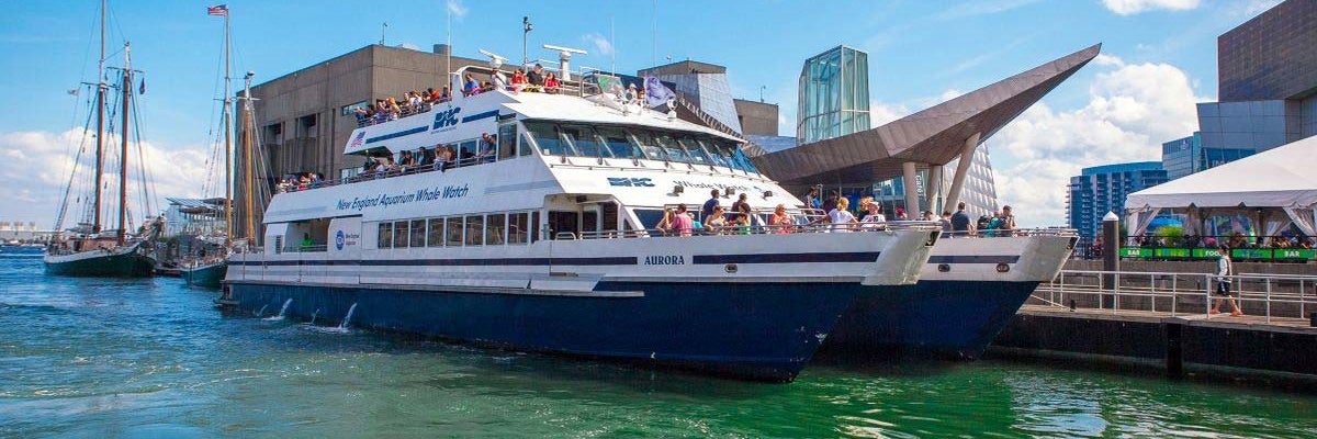 New England Aquarium Whale Watch Cruise in Boston, Massachusetts