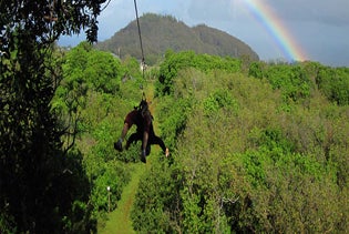 NorthShore Zipline Canopy Tours in Haiku, Maui, Hawaii