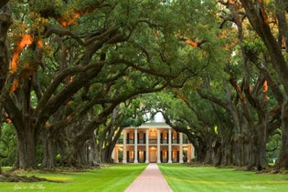 Oak Alley Plantation Tour in LaPlace, Louisiana