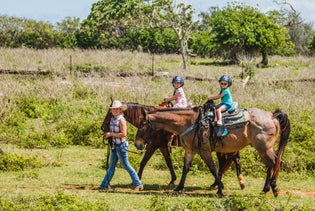 Pony Rides for Kids at Gunstock Ranch in Kahuku, Hawaii