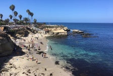 Discover San Diego's Beaches: Private Driving Tour in San Diego, California