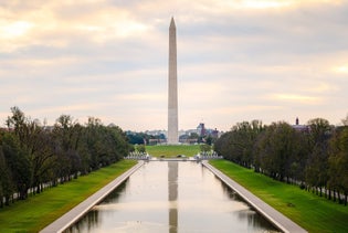 The National Mall: Washington DC Private Half-Day Walking Tour in Washington DC, District of Columbia