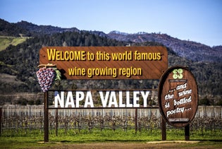  Wine Tasting in Napa Valley: Private Excursion in San Francisco, California
