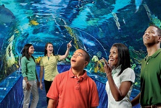 Ripley's Aquarium of the Smokies in Gatlinburg, Tennessee