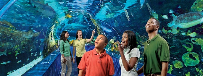 Ripley's Aquarium of the Smokies in Gatlinburg, Tennessee