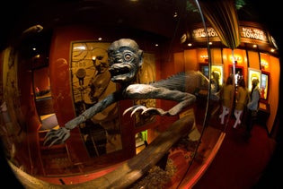 Ripley's Believe It or Not! San Francisco in San Francisco, California