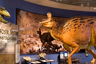San Diego Natural History Museum in San Diego, California