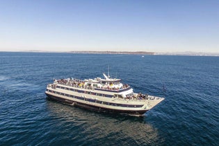 San Diego Whale and Dolphin Watching Cruise in San Diego, California