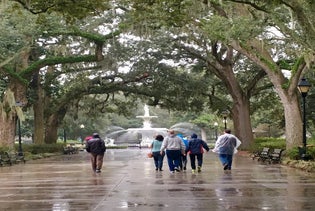 Savannah Stroll: Guided Sightseeing & History Walking Tour of Savannah in Savannah, Georgia