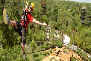 Gatorland's Screamin' Gator Zip Line with Free Gatorland Park Admission in Orlando, Florida