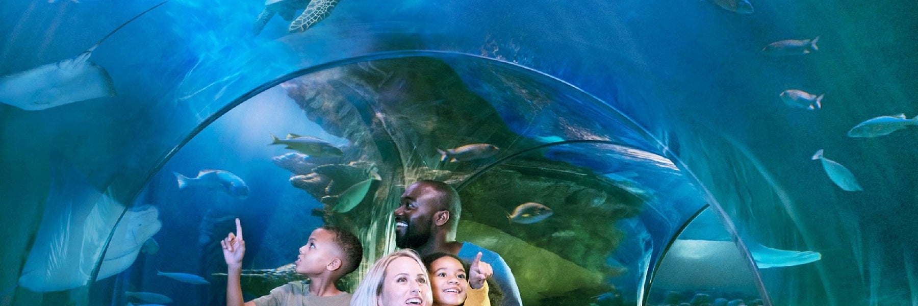 SEA LIFE Charlotte-Concord in Concord, North Carolina