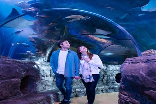 SEA LIFE at Mall of America in Bloomington, Minnesota