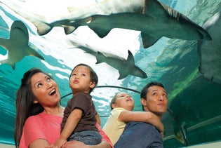 SEA LIFE New Jersey at American Dream in East Rutherford, New Jersey