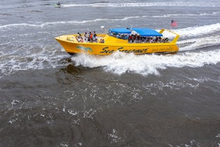 Sea Screamer - Myrtle Beach Dolphin Cruises in Little River, South Carolina