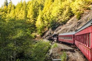 Skunk Train's Magical Christmas Train in Willits, California