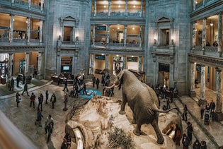 Smithsonian National Museum of Natural History Tour in Washington, District of Columbia