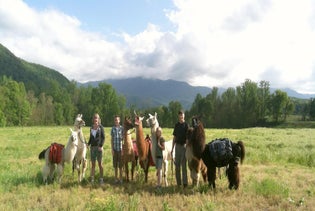 Smoky Mountain Llama Treks in Cosby, Tennessee