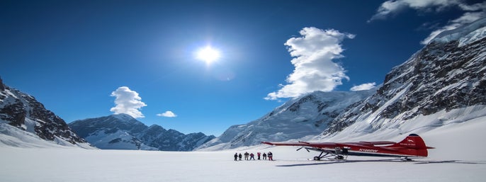 Denali Southside Explorer Tour with Optional Glacier Landing in Talkeetna, Alaska