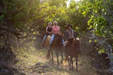 Sunset Horseback Experience  in Kahuku, Hawaii