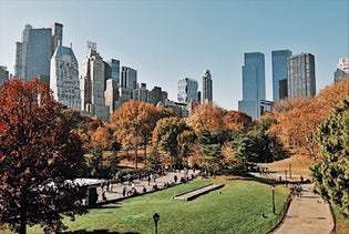 The Essential Central Park Guided Walking Tour in New York, New York