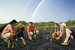 Hawaii Volcano, Chocolate & Waterfalls Tour in Kailua-Kona, Hawaii