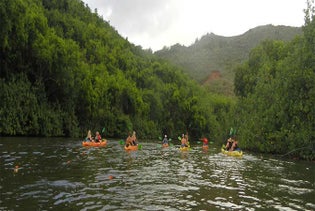 Wailua River Kayak & Waterfall Hike with Lunch in Kapaa, Kauai, Hawaii