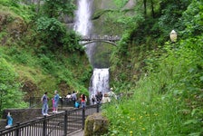 Waterfall Trolley Tour in Corbett, Oregon