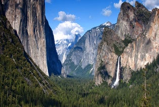 Yosemite National Park Day Tour in San Francisco, California
