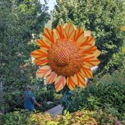 Carol  R. Tripster User Profile Image