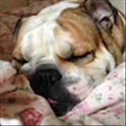 Shuting Xie Tripster User Profile Image