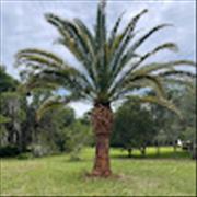 Don Hapuarachchi Tripster User Profile Image