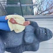 Stacey Gibson Tripster User Profile Image