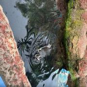 Candy Wilson Tripster User Profile Image