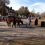 Colonial Williamsburg photo submitted by John Leon
