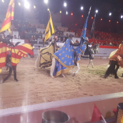 Medieval Times Dinner and Tournament Orlando photo submitted by Jolene Hartley