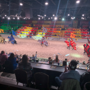 Medieval Times Dinner & Tournament Myrtle Beach photo submitted by Farid Iglesias